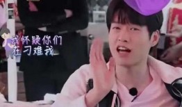 天涯爆料张蔷视频完整版,张蔷视频完整版引发热议，揭秘背后真相