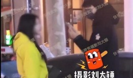 刘大锤最新爆料后续事件,揭秘事件背后惊人真相