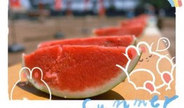 2024免费吃瓜,揭秘娱乐圈幕后大事件